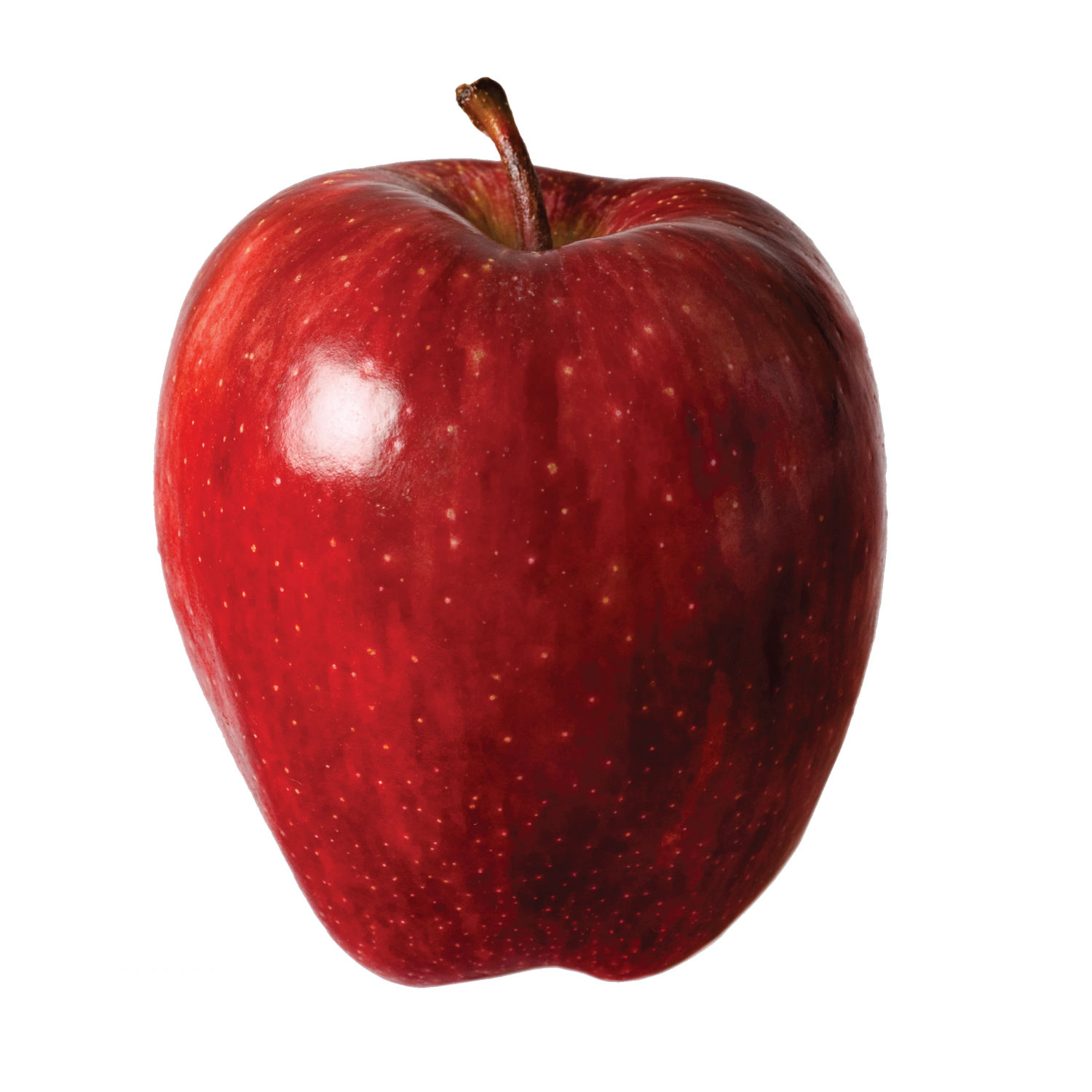 Red Delicious Red Delicious Apple - The Oar